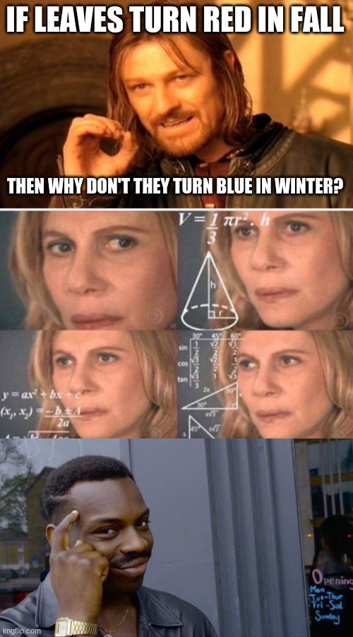 Yes | IF LEAVES TURN RED IN FALL; THEN WHY DON'T THEY TURN BLUE IN WINTER? | image tagged in memes,one does not simply,math lady/confused lady,roll safe think about it | made w/ Imgflip meme maker
