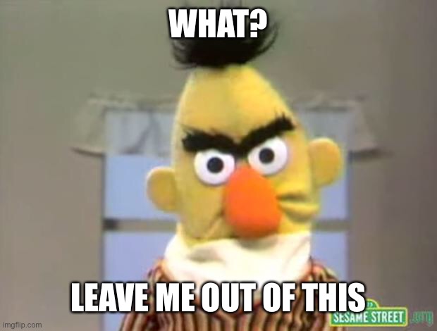 Sesame Street - Angry Bert | WHAT? LEAVE ME OUT OF THIS | image tagged in sesame street - angry bert | made w/ Imgflip meme maker