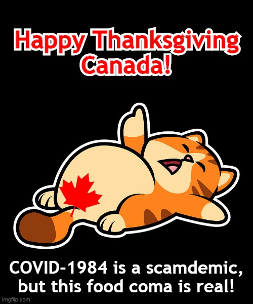 Happy Scamdemic Thanksgiving Canada! | Happy Thanksgiving
Canada! Happy Thanksgiving
Canada! COVID-1984 is a scamdemic,
but this food coma is real! | image tagged in fat cat i blame gravity,happy thanksgiving 2020,covid-19,scamdemic,plandemic,happy thanksgiving canada | made w/ Imgflip meme maker