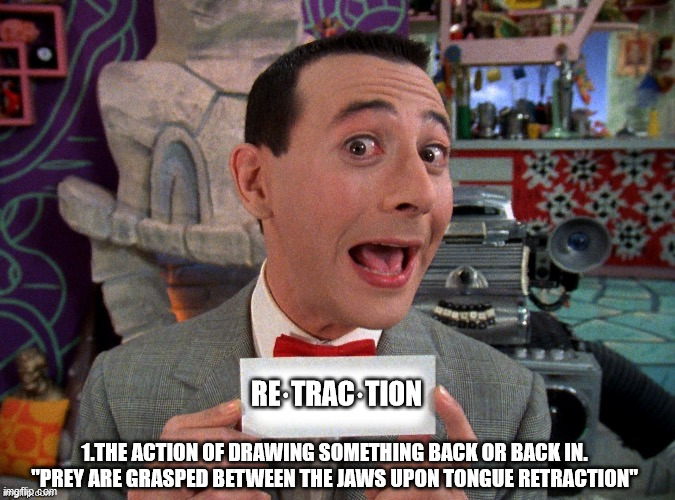 Pee Wee Secret Word | RE·TRAC·TION; 1.THE ACTION OF DRAWING SOMETHING BACK OR BACK IN.
"PREY ARE GRASPED BETWEEN THE JAWS UPON TONGUE RETRACTION" | image tagged in pee wee secret word | made w/ Imgflip meme maker