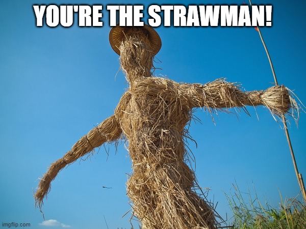 Strawman | YOU'RE THE STRAWMAN! | image tagged in strawman | made w/ Imgflip meme maker