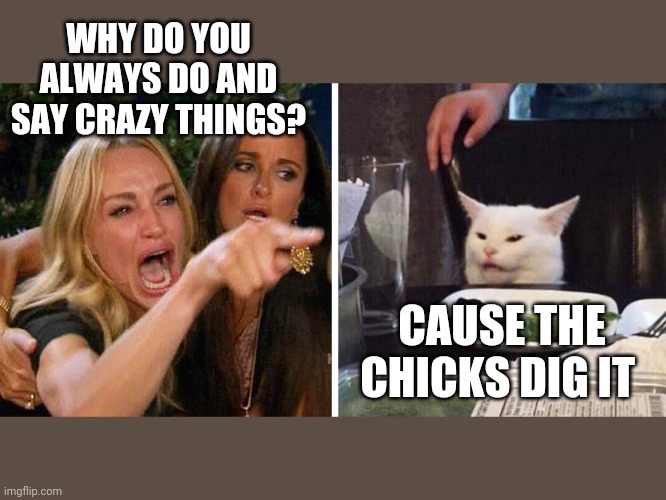Smudge the cat | WHY DO YOU ALWAYS DO AND SAY CRAZY THINGS? CAUSE THE CHICKS DIG IT | image tagged in smudge the cat | made w/ Imgflip meme maker