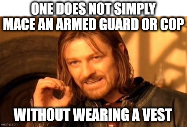 One Does Not Simply Meme | ONE DOES NOT SIMPLY MACE AN ARMED GUARD OR COP WITHOUT WEARING A VEST | image tagged in memes,one does not simply | made w/ Imgflip meme maker