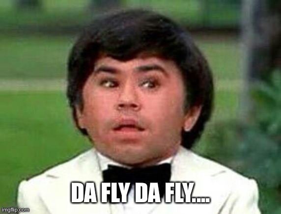 DA FLY DA FLY.... | made w/ Imgflip meme maker