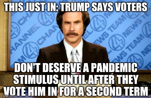 BREAKING NEWS | THIS JUST IN: TRUMP SAYS VOTERS DON'T DESERVE A PANDEMIC STIMULUS UNTIL AFTER THEY VOTE HIM IN FOR A SECOND TERM | image tagged in breaking news | made w/ Imgflip meme maker