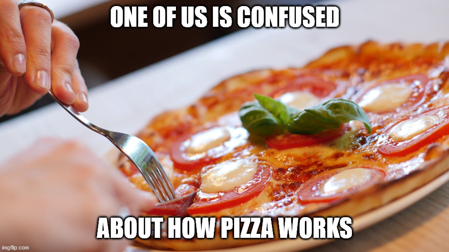  ONE OF US IS CONFUSED; ABOUT HOW PIZZA WORKS | image tagged in memes,funny memes,pizza | made w/ Imgflip meme maker