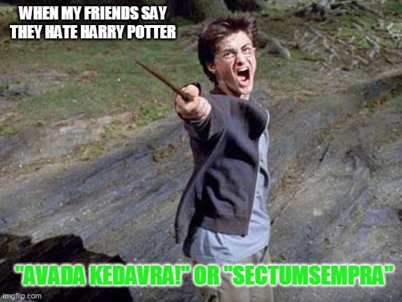 Harry Potter Yelling | WHEN MY FRIENDS SAY THEY HATE HARRY POTTER; "AVADA KEDAVRA!" OR "SECTUMSEMPRA" | image tagged in harry potter yelling | made w/ Imgflip meme maker