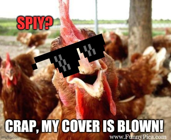 Chicken | SPIY? CRAP, MY COVER IS BLOWN! | image tagged in chicken | made w/ Imgflip meme maker