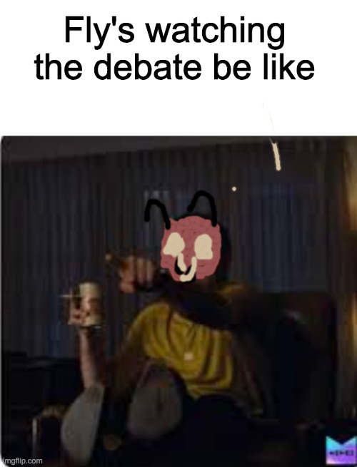 That Fly be tryna run for office | Fly's watching the debate be like | image tagged in guy pointing at tv,fly,debate,tv,funny memes | made w/ Imgflip meme maker