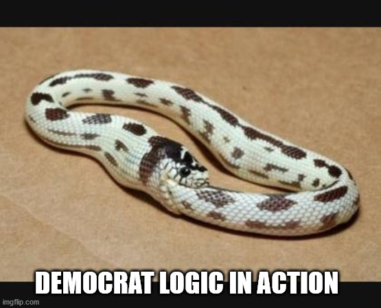 Democrats implementing new programs | DEMOCRAT LOGIC IN ACTION | image tagged in snake | made w/ Imgflip meme maker
