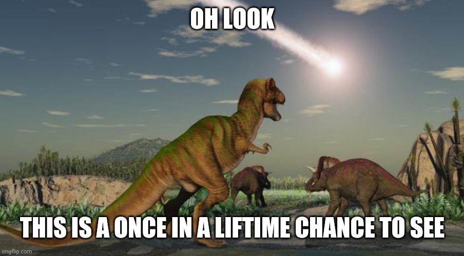 Dinosaurs meteor | OH LOOK THIS IS A ONCE IN A LIFTIME CHANCE TO SEE | image tagged in dinosaurs meteor | made w/ Imgflip meme maker