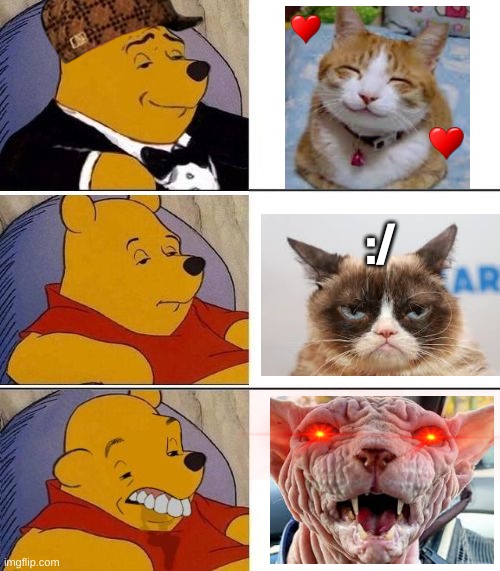 Some cats aren't our type... | :/ | image tagged in cats,looks good to me | made w/ Imgflip meme maker
