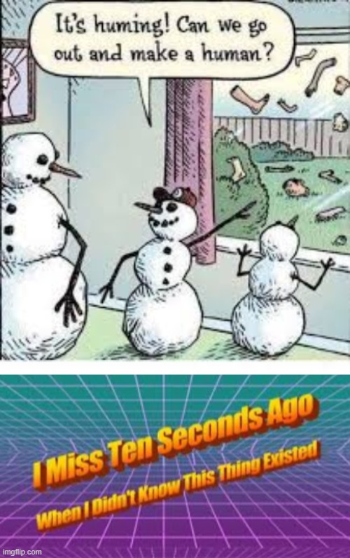 the most cursed thing ever | image tagged in i miss ten seconds ago,funny,memes,cursed image,cursed,snow | made w/ Imgflip meme maker
