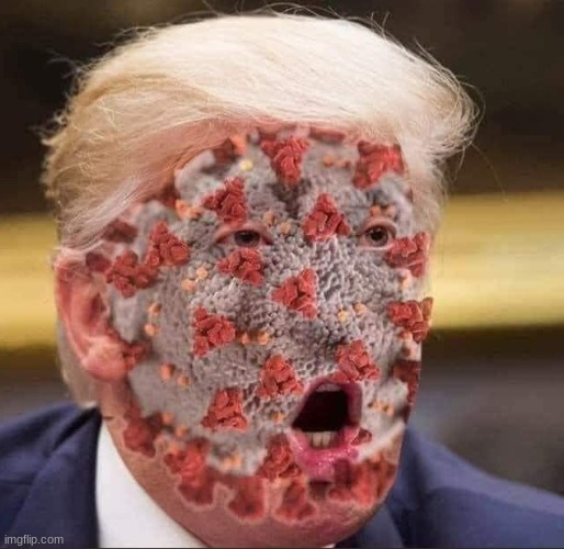 Trump's virus | image tagged in trump's virus | made w/ Imgflip meme maker