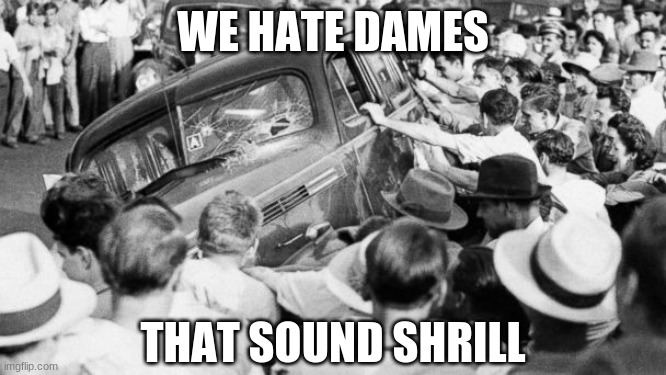 riot in the 1940's | WE HATE DAMES THAT SOUND SHRILL | image tagged in riot in the 1940's | made w/ Imgflip meme maker