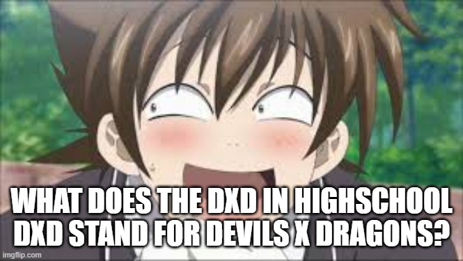 I was Bored | WHAT DOES THE DXD IN HIGHSCHOOL DXD STAND FOR DEVILS X DRAGONS? | image tagged in highschool dxd,devil,dragons | made w/ Imgflip meme maker