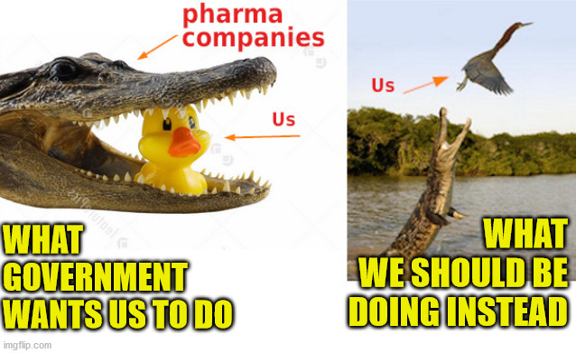 What government wants us to do, and what we should be doing instead ...