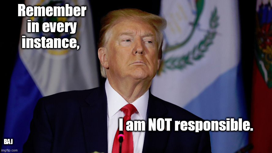 Irresponsible grifter | BAJ | image tagged in donald trump,irresponsible,grifter | made w/ Imgflip meme maker