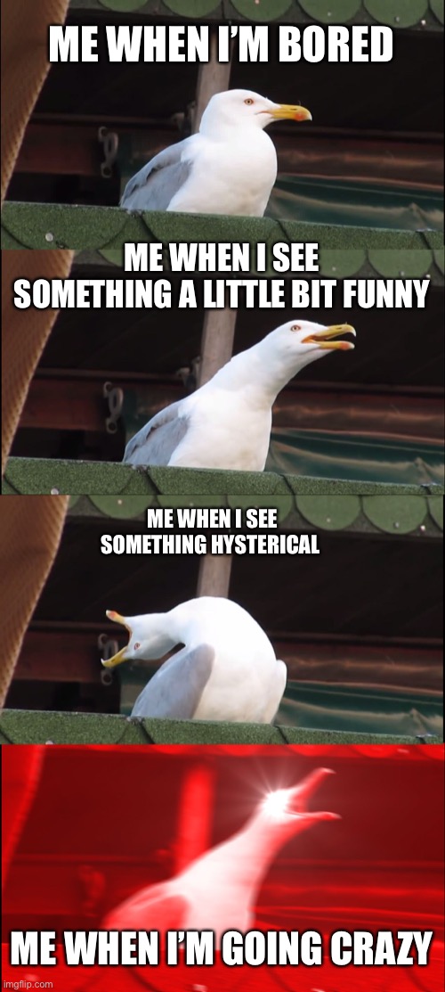 Inhaling Seagull | ME WHEN I’M BORED; ME WHEN I SEE SOMETHING A LITTLE BIT FUNNY; ME WHEN I SEE SOMETHING HYSTERICAL; ME WHEN I’M GOING CRAZY | image tagged in memes,inhaling seagull | made w/ Imgflip meme maker