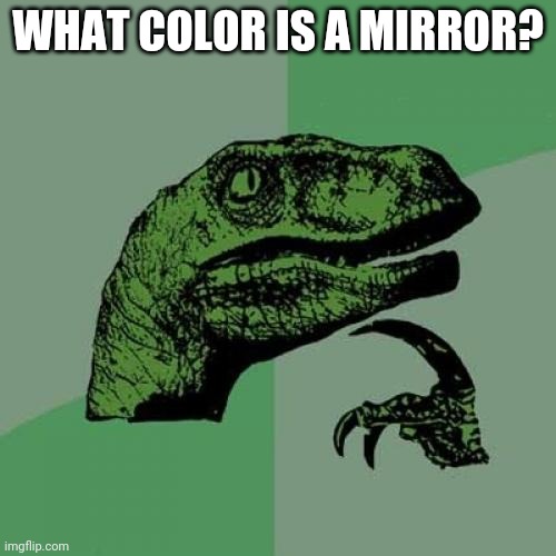 Philosoraptor | WHAT COLOR IS A MIRROR? | image tagged in memes,philosoraptor | made w/ Imgflip meme maker