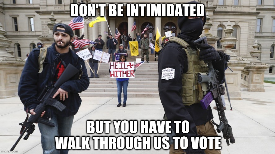 Armed militia | DON'T BE INTIMIDATED BUT YOU HAVE TO WALK THROUGH US TO VOTE | image tagged in armed militia | made w/ Imgflip meme maker