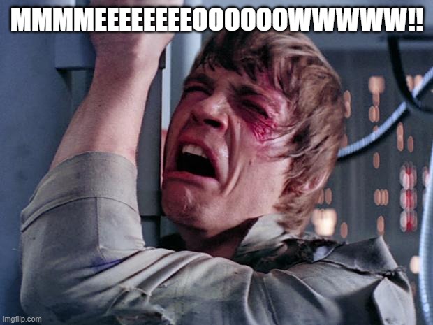 luke nooooo | MMMMEEEEEEEEOOOOOOWWWWW!! | image tagged in luke nooooo | made w/ Imgflip meme maker