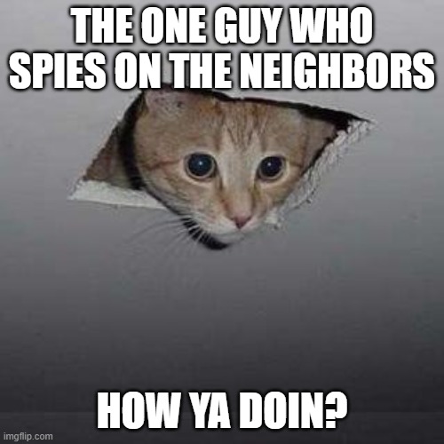 Ceiling Cat | THE ONE GUY WHO SPIES ON THE NEIGHBORS; HOW YA DOIN? | image tagged in memes,ceiling cat | made w/ Imgflip meme maker