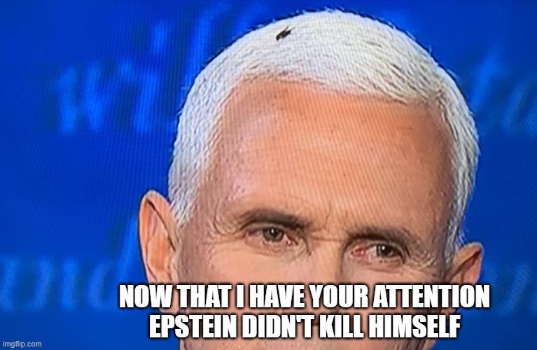 Epstein Fly | NOW THAT I HAVE YOUR ATTENTION EPSTEIN DIDN'T KILL HIMSELF | image tagged in pence fly,jeffrey epstein,debates | made w/ Imgflip meme maker