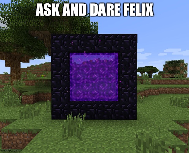 Felix is not a nether portal, he can make portals, but he is mostly human (U can also ask me questions about him) | ASK AND DARE FELIX | image tagged in neither portal | made w/ Imgflip meme maker