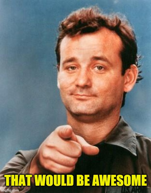 Bill Murray You're Awesome | THAT WOULD BE AWESOME | image tagged in bill murray you're awesome | made w/ Imgflip meme maker