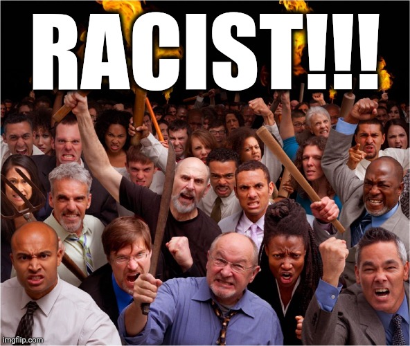 Angry mob | RACIST!!! | image tagged in angry mob | made w/ Imgflip meme maker