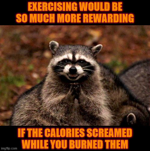 Burn Calories | EXERCISING WOULD BE SO MUCH MORE REWARDING; IF THE CALORIES SCREAMED WHILE YOU BURNED THEM | image tagged in memes,evil plotting raccoon | made w/ Imgflip meme maker