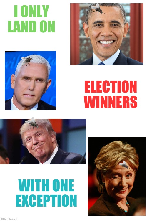 Ah the aroma of politicians,  dumpsters pale in comparison | I ONLY LAND ON; ELECTION WINNERS; WITH ONE EXCEPTION | image tagged in blank white template,fly | made w/ Imgflip meme maker
