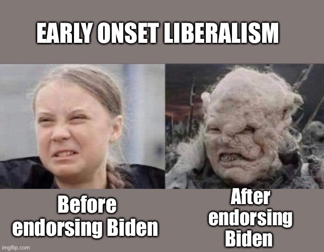 We need a cure | EARLY ONSET LIBERALISM; After endorsing Biden; Before endorsing Biden | image tagged in greta thunberg how dare you,lord of the rings,joe biden,election 2020 | made w/ Imgflip meme maker