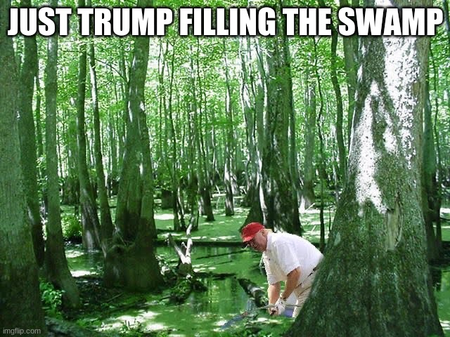 oh shit I submitted this in fun by accident | JUST TRUMP FILLING THE SWAMP | image tagged in reeeeeeeeeeeeeeeeeeeeee | made w/ Imgflip meme maker