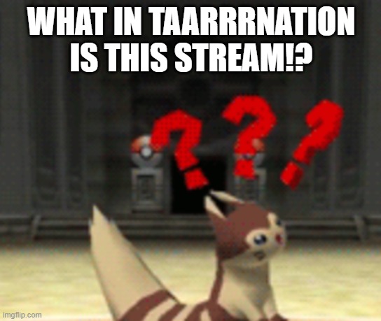 Confused furret | WHAT IN TAARRRNATION IS THIS STREAM!? | image tagged in confused furret | made w/ Imgflip meme maker