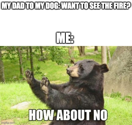 we had a fire going outside and I was like "I'll hold the leash..." | MY DAD TO MY DOG: WANT TO SEE THE FIRE? ME: | image tagged in memes,how about no bear,blank white template | made w/ Imgflip meme maker