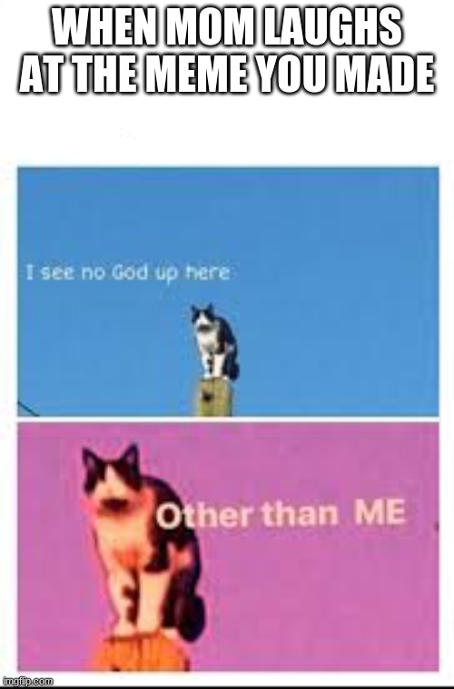 Better I see no God cat | WHEN MOM LAUGHS AT THE MEME YOU MADE | image tagged in better i see no god cat | made w/ Imgflip meme maker
