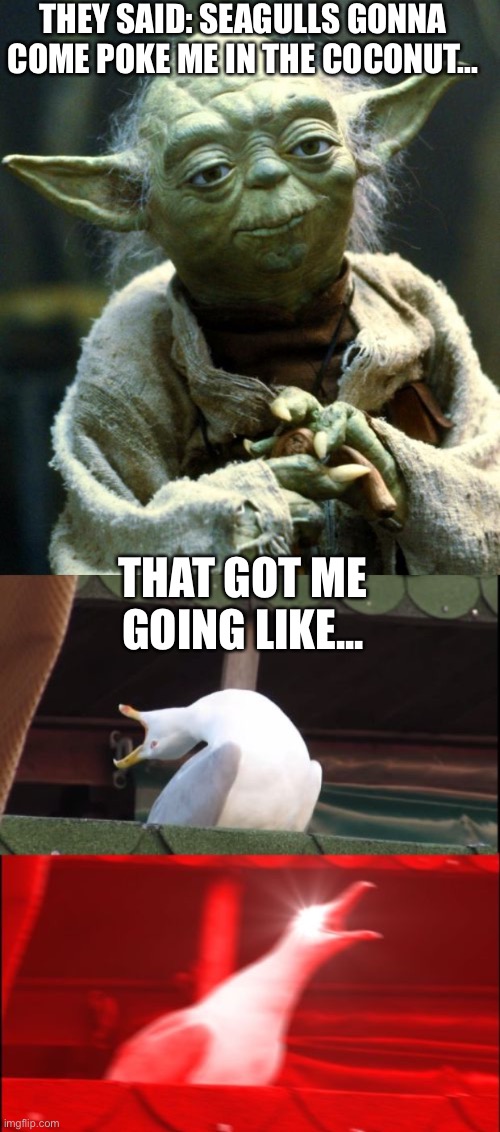 THEY SAID: SEAGULLS GONNA COME POKE ME IN THE COCONUT... THAT GOT ME GOING LIKE... | image tagged in memes,star wars yoda,screaming seagull | made w/ Imgflip meme maker