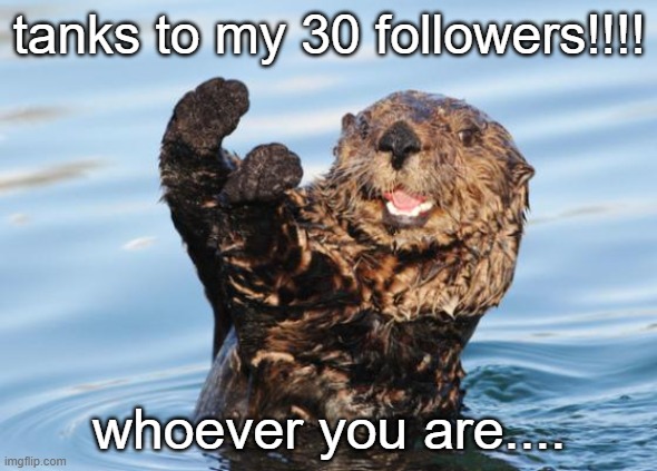 hehe | tanks to my 30 followers!!!! whoever you are.... | image tagged in otter celebration | made w/ Imgflip meme maker