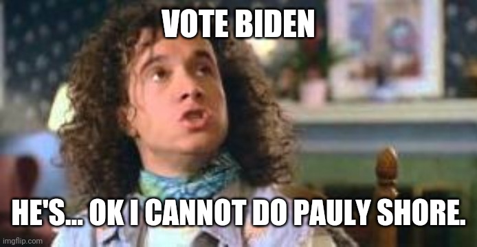 pauly shore | VOTE BIDEN HE'S... OK I CANNOT DO PAULY SHORE. | image tagged in pauly shore | made w/ Imgflip meme maker