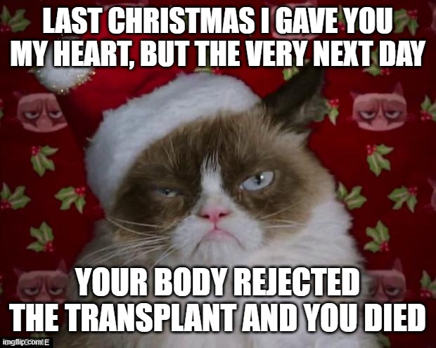 Grumpy Cat Christmas | LAST CHRISTMAS I GAVE YOU MY HEART, BUT THE VERY NEXT DAY; YOUR BODY REJECTED THE TRANSPLANT AND YOU DIED | image tagged in grumpy cat christmas,memes,cats,funny,musically malicious grumpy cat,grumpy cat | made w/ Imgflip meme maker