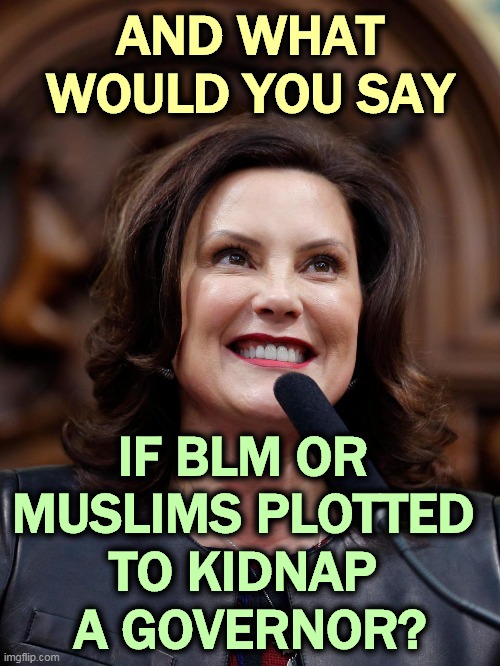 Terrorism is terrorism, whether they look like Duck Dynasty rejects or not. | AND WHAT WOULD YOU SAY; IF BLM OR 
MUSLIMS PLOTTED 
TO KIDNAP 
A GOVERNOR? | image tagged in governor whitmer,domestic,terrorism,right wing,losers,kidnapping | made w/ Imgflip meme maker