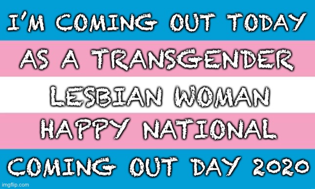 Transgender Flag Imgflip