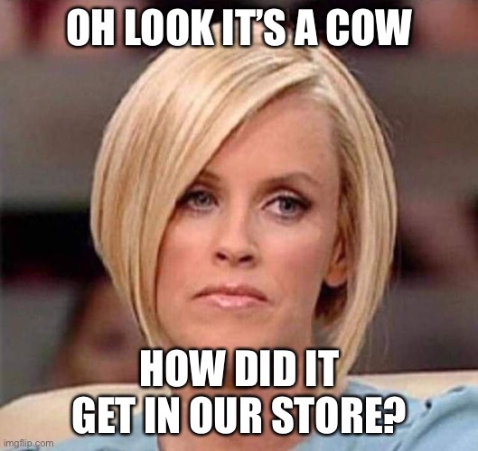 Karen, the manager will see you now | OH LOOK IT’S A COW HOW DID IT GET IN OUR STORE? | image tagged in karen the manager will see you now | made w/ Imgflip meme maker