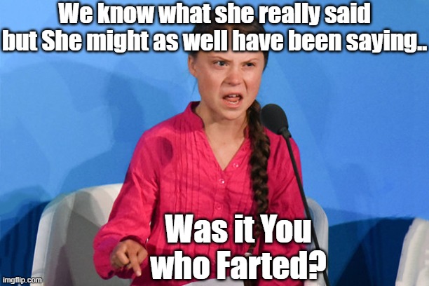 Greta how dare | We know what she really said but She might as well have been saying.. Was it You who Farted? | image tagged in greta how dare,was it you who farted | made w/ Imgflip meme maker