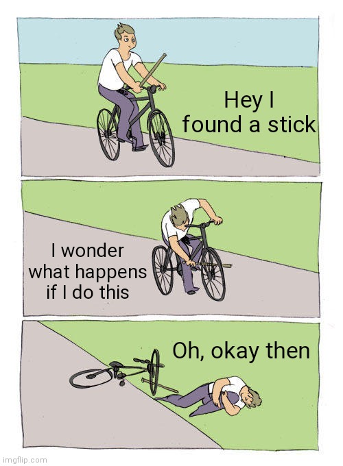 r/bonehurtingjuice | Hey I found a stick; I wonder what happens if I do this; Oh, okay then | image tagged in memes,bike fall | made w/ Imgflip meme maker