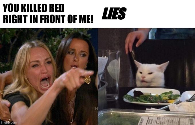 LIES | YOU KILLED RED RIGHT IN FRONT OF ME! LIES | image tagged in memes,woman yelling at cat,among us | made w/ Imgflip meme maker