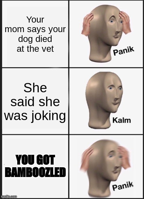 BAMBOOZLED | Your mom says your dog died at the vet; She said she was joking; YOU GOT BAMBOOZLED | image tagged in memes,panik kalm panik | made w/ Imgflip meme maker
