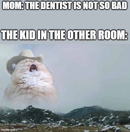 Screaming Cowboy Cat |  MOM: THE DENTIST IS NOT SO BAD; THE KID IN THE OTHER ROOM: | image tagged in screaming cowboy cat | made w/ Imgflip meme maker